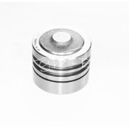 C-360 Skropol kėlimo stūmoklis - 5058025/S