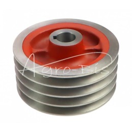 Mažas skriemulys, lenkiška rotacinė vejapjovė 1,65 MORGA - 5036010250M