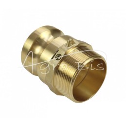 „Camlock“ jungties kištukas, F tipo, žalvaris, 2" x 50 mm, PZL HYDRAL - ZCMF50H