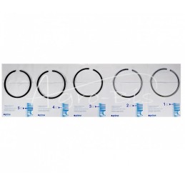Variklio žiedų komplektas FI-120 S-320,322,323,324 Prima - K1-1358