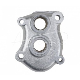 Vairo kolonėlės šoninis dangtelis Ursus MF3 - 1850040M1