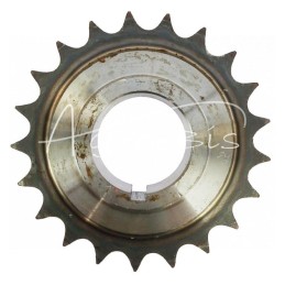 Grandinės ratas 21Z 3/4" pilnas pavaros priedas bulvių kombainui Anna - 564432008