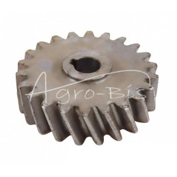 ZETOR ALYVOS SIURBLIO RATAS Čekiškas - 69010735