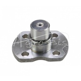 Ašies kaištis 35–45 mm Carraro - RE57471