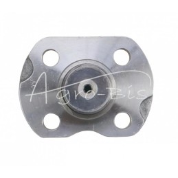 Ašies kaištis 35–45 mm Carraro - RE57471