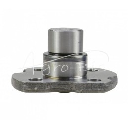 Ašies kaištis 35–45 mm Carraro - RE57471