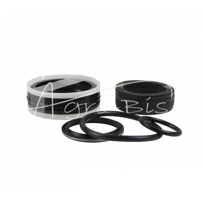 Kaušo cilindro sandarinimo komplektas CK2-80Px50x770-000 ekskavatoriui-krautuvams Ostrówek - F40/A