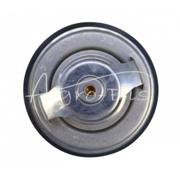 Termostato korpusas, STEYR G199204010020, poliruotas Mera - TV-215.85