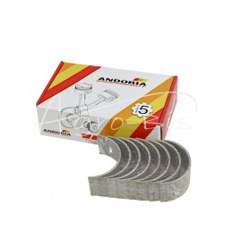 Švaistiklių guolių komplektas N-0,75 50503123, 90030143 Zetor Ursus C-360 ANDORIA - 9003014310AM