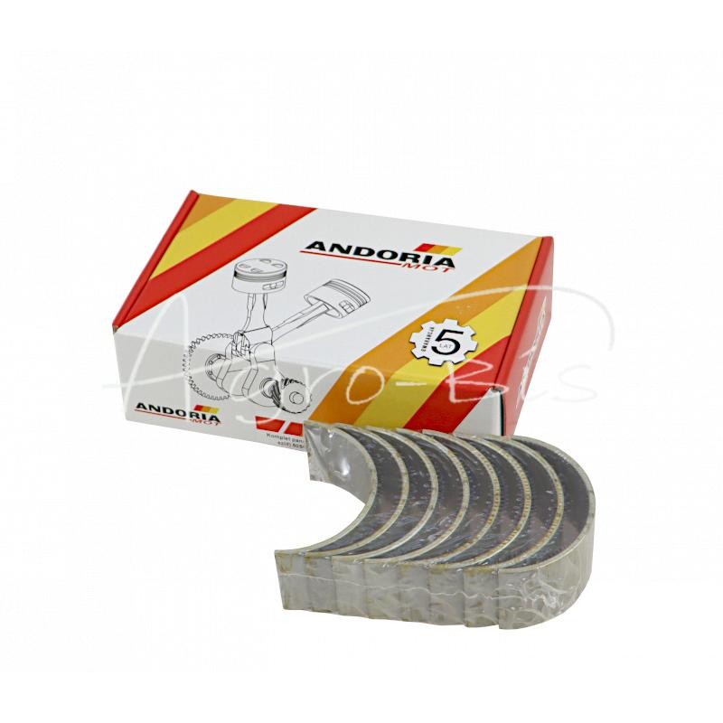 Švaistiklių guolių komplektas N-0,75 50503123, 90030143 Zetor Ursus C-360 ANDORIA - 9003014310AM