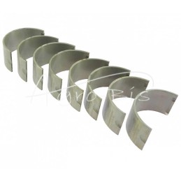 Švaistiklių guolių komplektas N-0,75 50503123, 90030143 Zetor Ursus C-360 ANDORIA - 9003014310AM