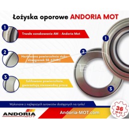 Didelio atleidimo guolis C-385 ANDORIA - 84107010KAM