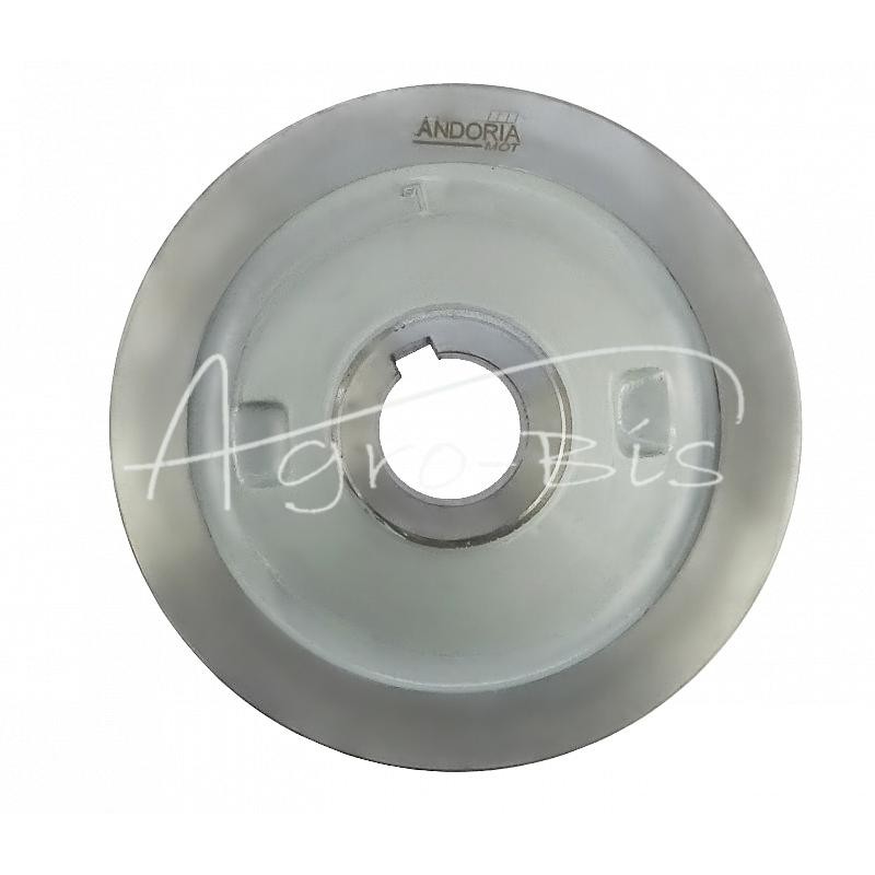 Variklio alkūninio veleno skriemulys su sandarikliu Ursus C-360 ANDORIA - 50503241AM