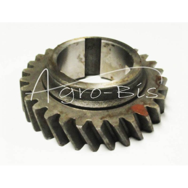 ANTROSIOS PAVAROS RATAS - 86120318