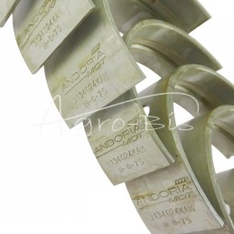 Pagrindinių guolių komplektas N-0,75 3134024K, 90980250 Ursus MF3 ANDORIA - 3134024KAM