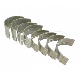 Pagrindinių guolių rinkinys N-0,00 3134002K Ursus MF3 ANDORIA - 9099024035AM