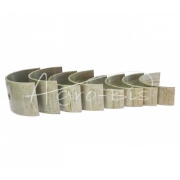 Pagrindinių guolių komplektas N-0,50 134002K Ursus MF3 ANDORIA - 9099024235AM