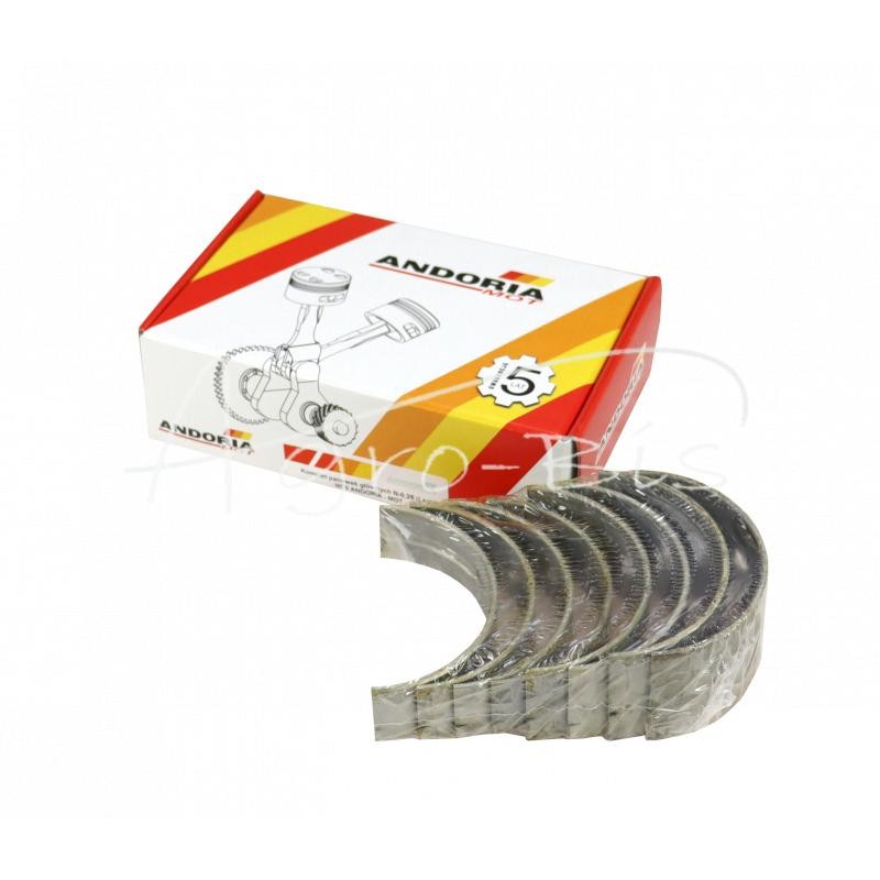 Pagrindinių guolių komplektas N-0,25 Ursus MF3 ANDORIA - 9099024135AM