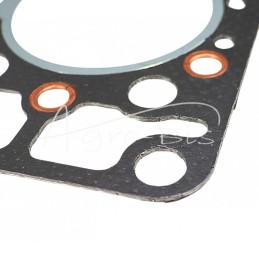 Cilindro galvutės tarpinė V1100 Kubota 15443-0331-0 LEILAND - 1544303310AM