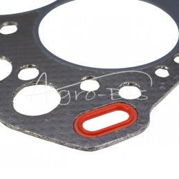 Cilindro galvutės tarpinė 3TN66 Yanmar 119225-01340 LEILAND - 11922501340AM