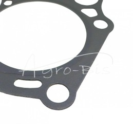 L3E Mitsubishi cilindro galvutės tarpinė 30L01-01100 LEILAND - 30L0101100AM