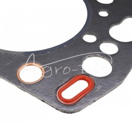 Cilindro galvutės tarpinė 3TN82 HGY2006D Yanmar LEILAND - HGY2006DAM