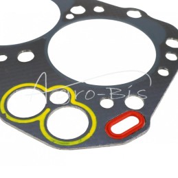 Cilindro galvutės tarpinė 3TNA72 Yanmar 119620-01343 LEILAND - 11962001343AM