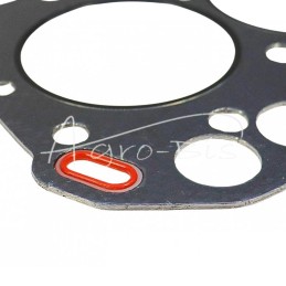 Cilindro galvutės tarpinė 3TNA68 Yanmar LEILAND - 192032AM