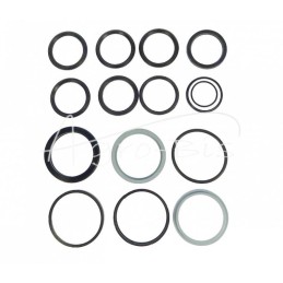 Ekskavatoriaus-krautuvo strėlės cilindro remonto komplektas NEW TYPE Ostrówek - F-43A