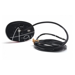 Galinis kombinuotas žibintas elipsė W205 universalus dešinės - kairės LED 12V/24V atsparus vandeniui IP66/68 neoninis - 1427 L