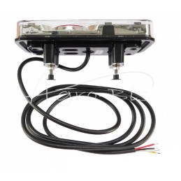 Galinis kombinuotas žibintas LED W66LP 5 funkcijų be numerio ženklo apšvietimo LED 12/24V dešinė - kairė atspari vandeniui balta