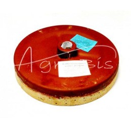 Judantis akmuo fi-280 raudonas šlifuoklis H-112 - 8112030041