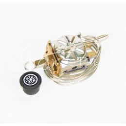 CASE temperatūros reguliatorius - 398936R1