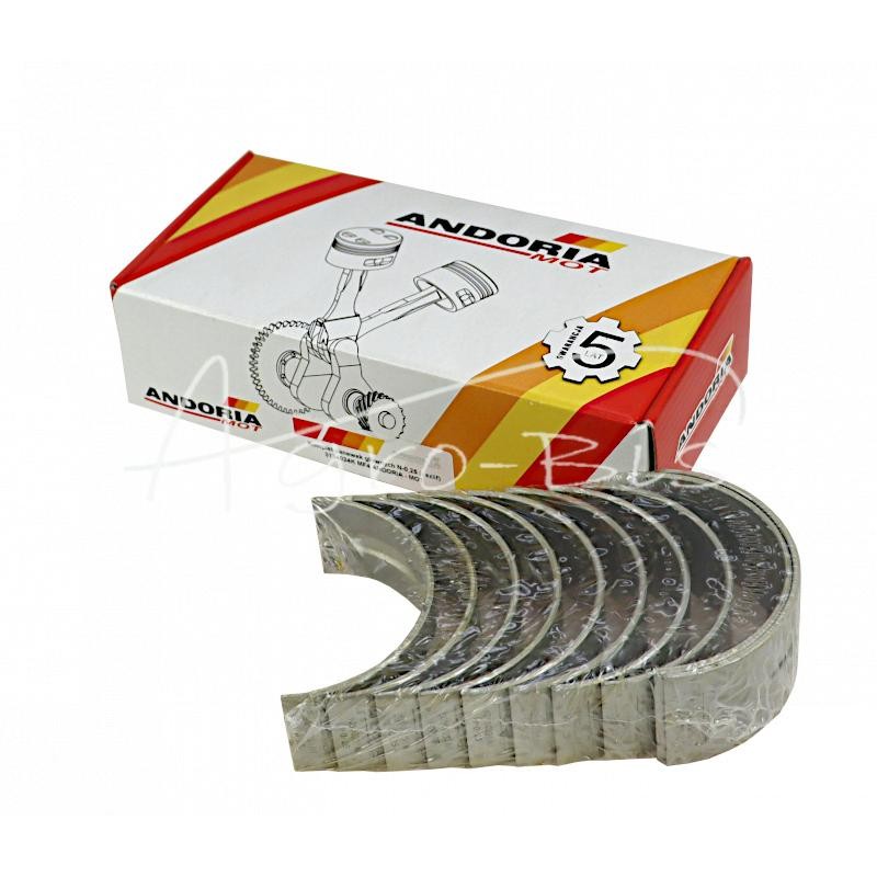 Pagrindinių guolių komplektas N-0,25 3134024K Ursus MF4 ANDORIA - 90980251AM