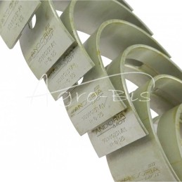 Pagrindinių guolių komplektas N-0,25 3134024K Ursus MF4 ANDORIA - 90980251AM