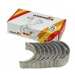 Pagrindinių guolių komplektas N-0,75 III pjovimo 3134024K Ursus MF4 ANDORIA - 90980253AM