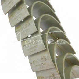 Pagrindinių guolių komplektas N-0,75 III pjovimo 3134024K Ursus MF4 ANDORIA - 90980253AM