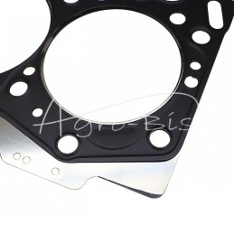 Cilindro galvutės tarpinė 3TNE68 Yanmar 119265-01341.1 LEILAND metalinė - 11926501341MAM