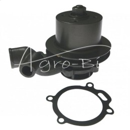 Massey Ferguson vandens siurblys - 3637468M1