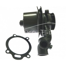 Massey Ferguson vandens siurblys - 3637468M1