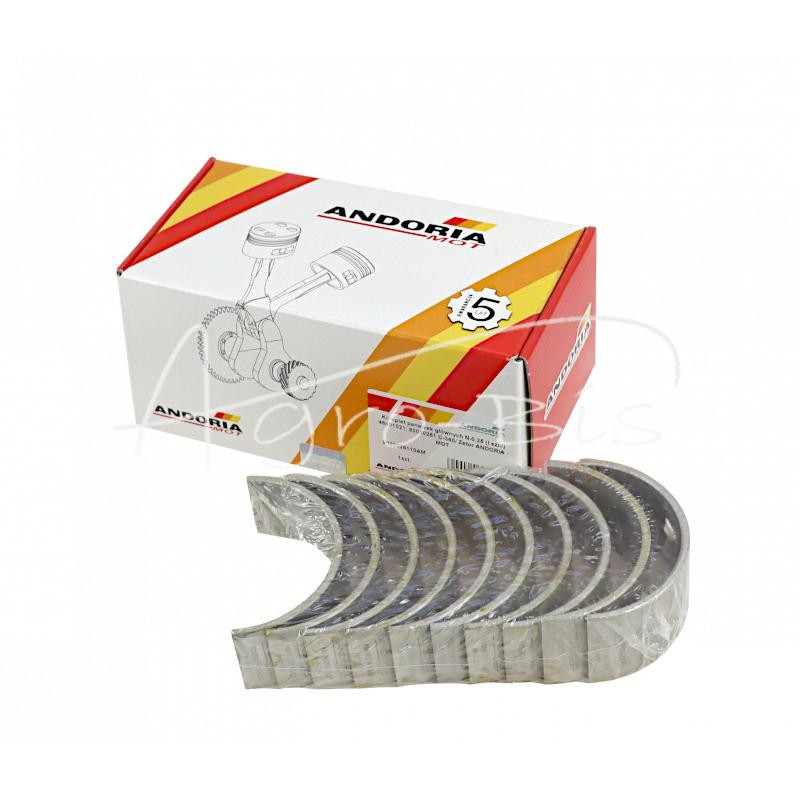 Pagrindinių guolių komplektas N-0,25 46401021, 90030251 Ursus C-360 Zetor ANDORIA - 9003025110AM