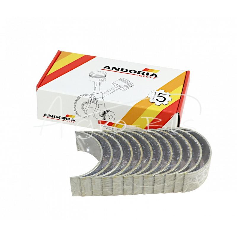 Švaistiklių guolių komplektas N-100 Ursus C-385 6 cilindrų ANDORIA - 80003018.1AM