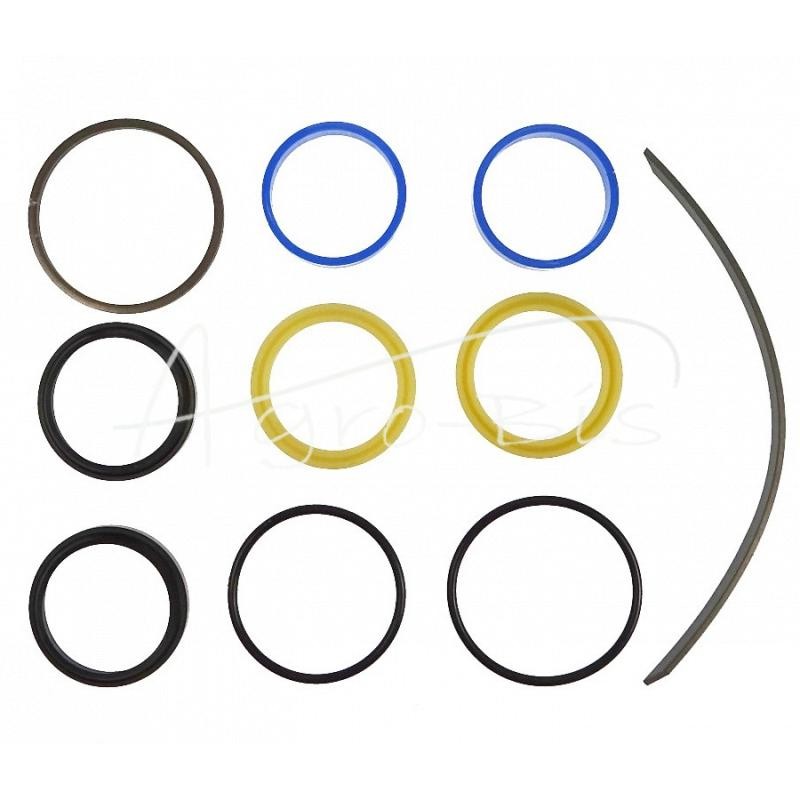 MF vairo stiprintuvo cilindro sandariklių komplektas - 43289