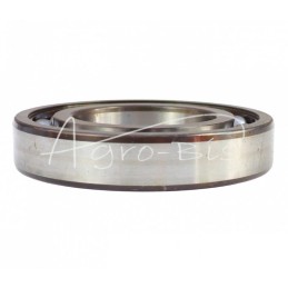SKF 6213 vienos eilės rutulinis guolis - 6213 SKF