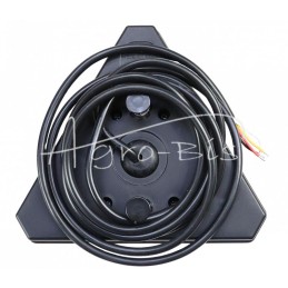 Galinis kombinuotas žibintas, 6 funkcijų, W 243 12/24V LED, atsparus vandeniui, be numerio ženklo apšvietimo, su neoniniu laidu 