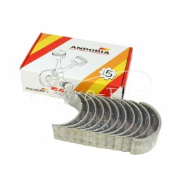 Švaistiklių guolių rinkinys N-0,25 SW400 9087016135, PLA1895, 6CT107 Bizon ANDORIA - 9087016135AM