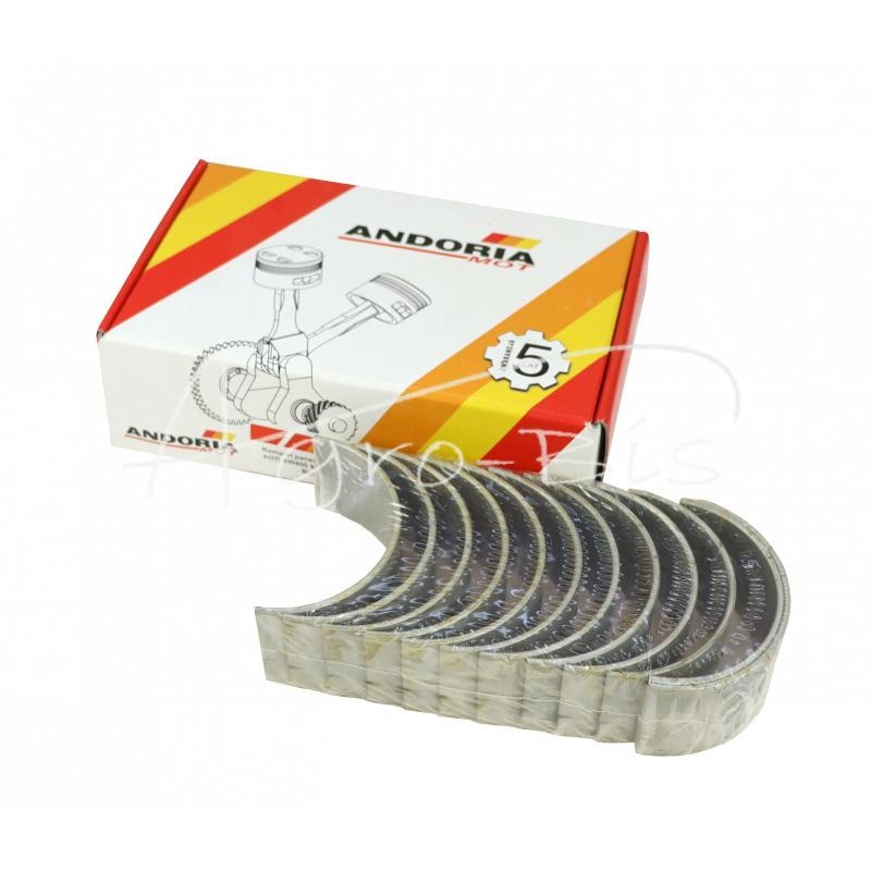 Švaistiklių guolių rinkinys N-0,25 SW400 9087016135, PLA1895, 6CT107 Bizon ANDORIA - 9087016135AM