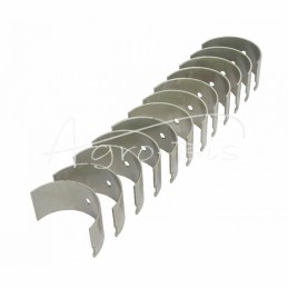 Švaistiklių guolių rinkinys N-0,25 SW400 9087016135, PLA1895, 6CT107 Bizon ANDORIA - 9087016135AM