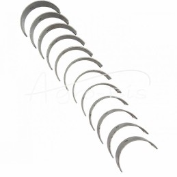 Švaistiklių guolių rinkinys N-0,25 SW400 9087016135, PLA1895, 6CT107 Bizon ANDORIA - 9087016135AM