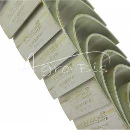 Pagrindinių guolių komplektas 91250274 N-1.00 Ursus C-385 6 cilindrų ANDORIA - 86002004AM